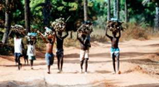 Gambia vacations