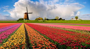 Netherlands vacations