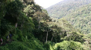 Papua New Guinea vacations