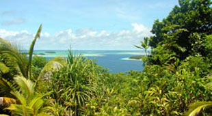 Tonga vacations