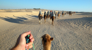 Tunisia vacations