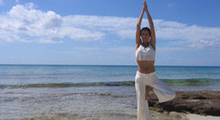 special interest vacations