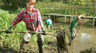 Habitat conservation vacations