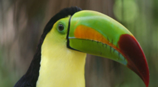Nature & wildlife day tours vacations