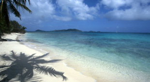 Diving in Australasia vacations
