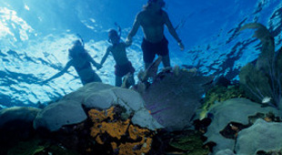 Family diving vacations