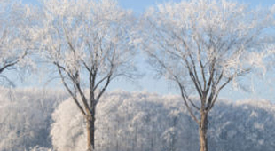 Winter sports vacations