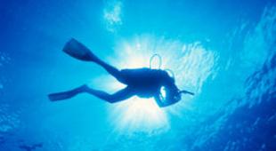 Diving in the Caribbean vacations