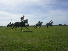 Volunteer at a Polo school in Argentina
