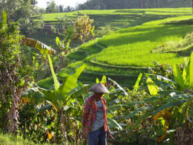 Eco bungalows in Bali, Indonesia