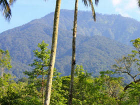 Eco bungalows in Bali, Indonesia