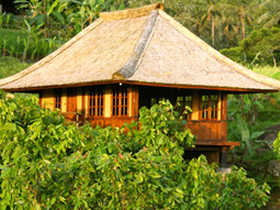Eco bungalows in Bali, Indonesia