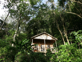 Dominica luxury eco-resort