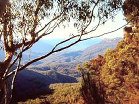 Blue Mountains retreat in Katoomba, Australia