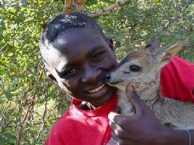 Volunteer with children & animals in South Africa