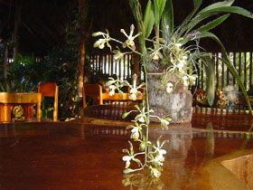 Belize City accommodation