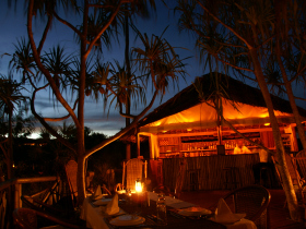 Tanzania wildlife tracking vacation