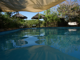 Tanzania wildlife tracking vacation