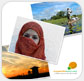 Social & environmental impacts (CSR) report