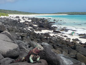 Galapagos cruise options, tailor made