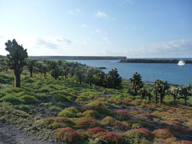 Galapagos cruise options, tailor made