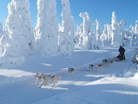 Northern lights short break, Finland 