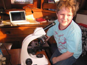 Looking at the Plankton