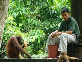 Borneo tailor made tour on a shoestring