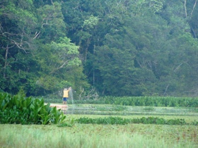Borneo family vacation, tailor made