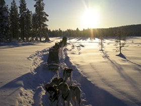 Northern Lights photography vacation, Finland