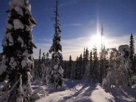Northern Lights photography vacation, Finland