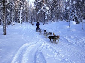 Northern Lights vacation in Lapland, aurora alarm