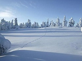 Northern lights family vacation, tailor made