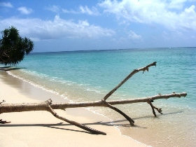 Borneo tailor made tour on a shoestring