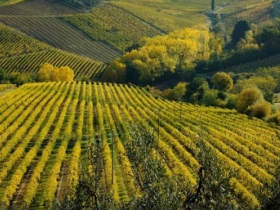 Tuscany wine tour in Italy
