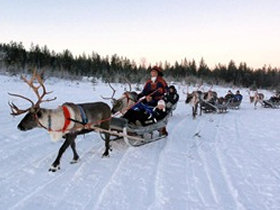 Northern Lights vacation in Lapland, aurora alarm