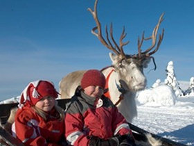 Northern lights family vacation, tailor made