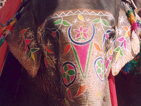 Tailor made Rajasthan vacation