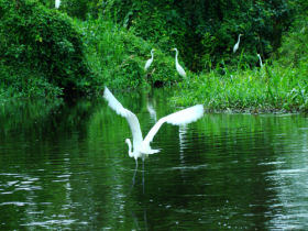 Nicaragua adventure vacation, river canoeing expedition