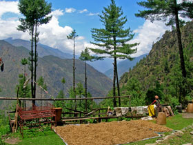 Langtang Valley trekking vacation, Nepal