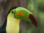 South America reviews