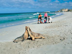 South Australia travel guide