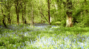 April late availability accommodation