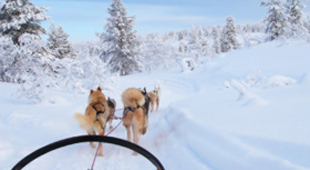 Winter late availability accommodation