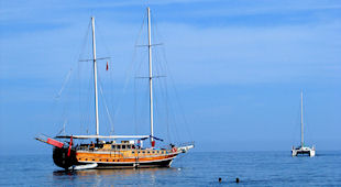 cruising vacations