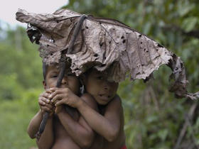 Ecuador Amazon rainforest vacation