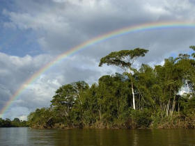 Ecuador Amazon rainforest vacation