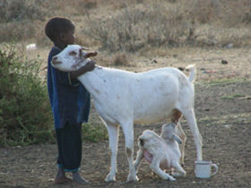 Tanzania safari and cultural tour