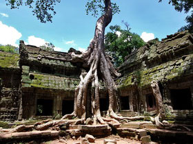 Cambodia vacations, including Angkor