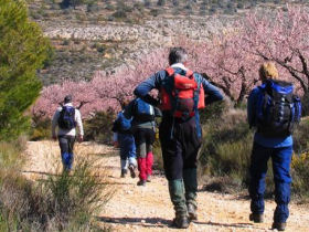 Walking holidays in Spain